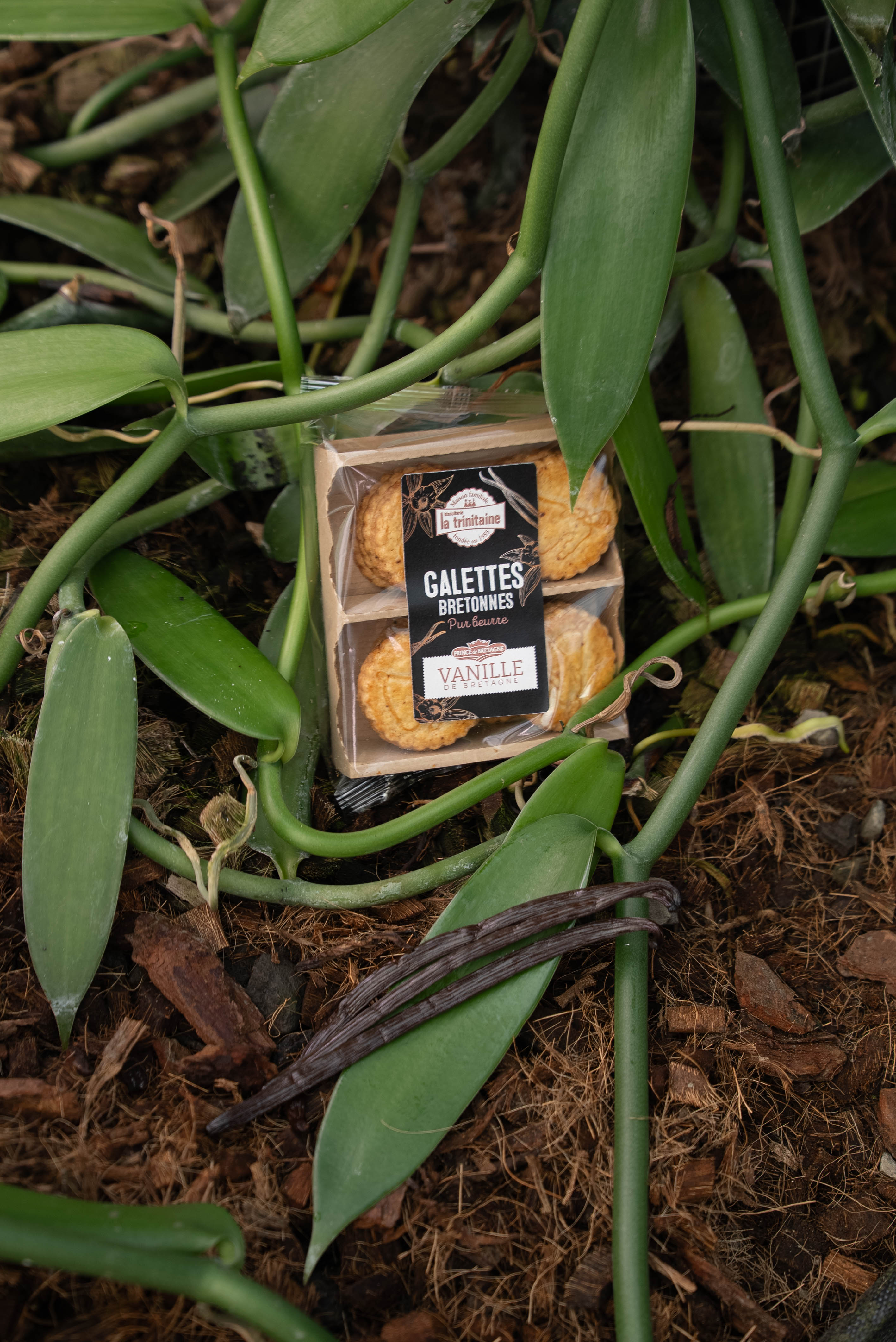 Présentoir La Trinitaine avec les galettes bretonnes à la vanille de Bretagne en boutique