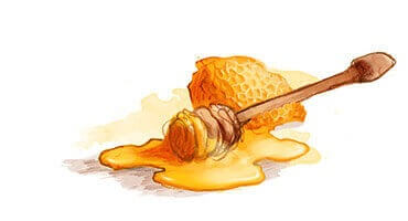 Miel Miel