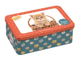 Coffret chaton curieux