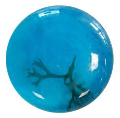 Mini savon bleu aux algues et loofah - 40g