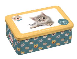 Coffret Chaton mignon