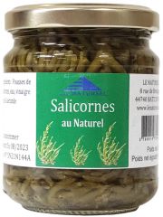 Salicornes au naturel