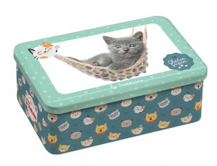 Coffret chaton fripon