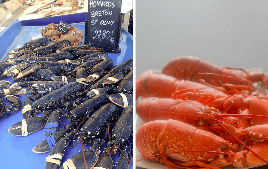 Etal de homards bretons