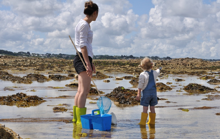 Pêche à pieds