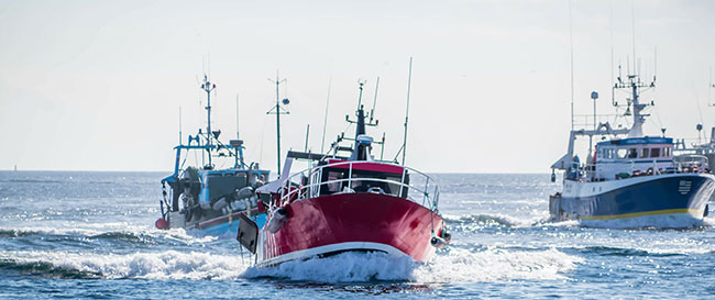 Bateaus des pêcheurs du Guilvinec sur le retour