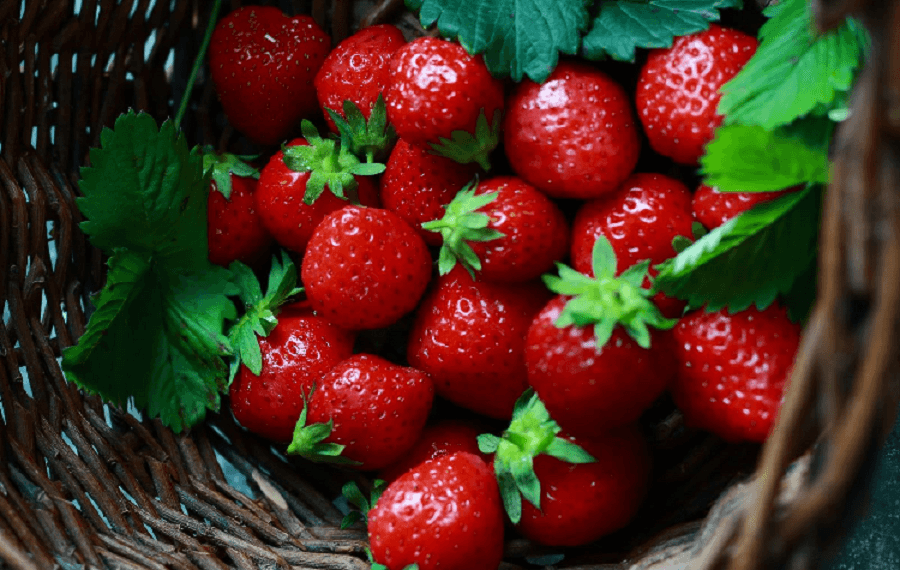 Fraises